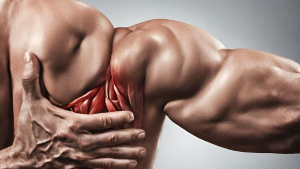 Đau nhức cơ và những điều cần phải biết về đau nhức cơ